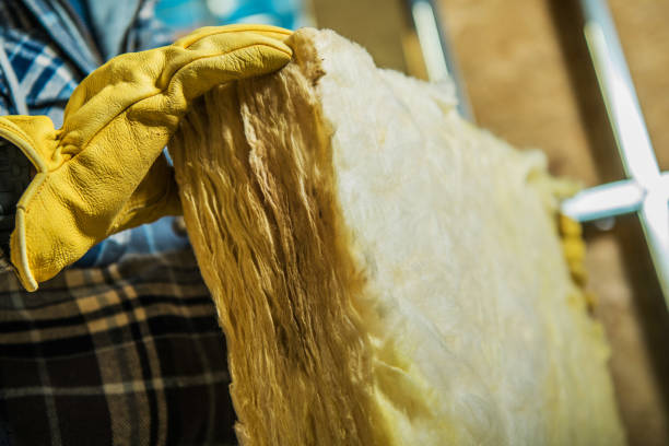 Best Spray Foam Insulation  in Mona, UT